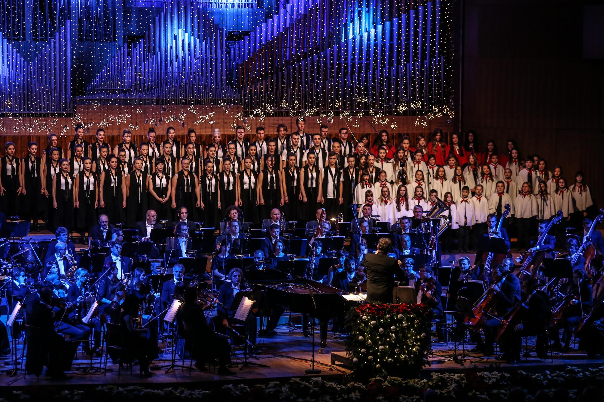 Zf HusarTomcic 35 of 60